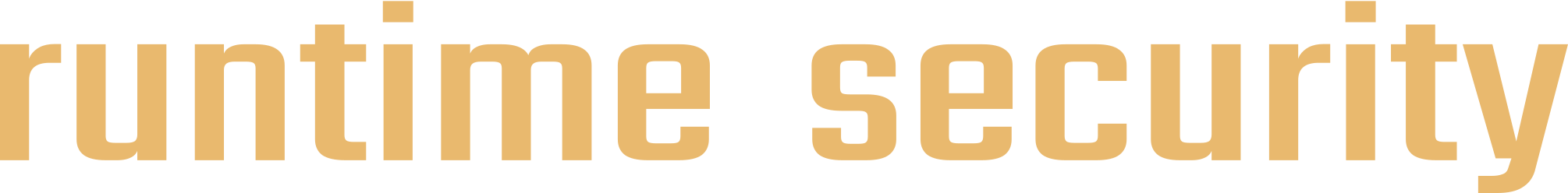 Runtime-Security